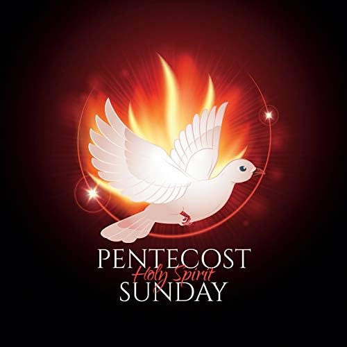 Baocıcco 10x10ft Pentekost pazar zemin kutsal ruh gibi beyaz güvercin kutsal alevler kutsal ışık fotoğraf arka plan