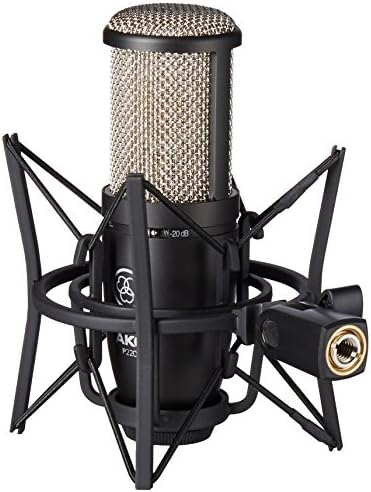 AKG Pro Ses Pro Ses Algısı 220 Profesyonel Stüdyo Mikrofonu, Gümüş Mavi